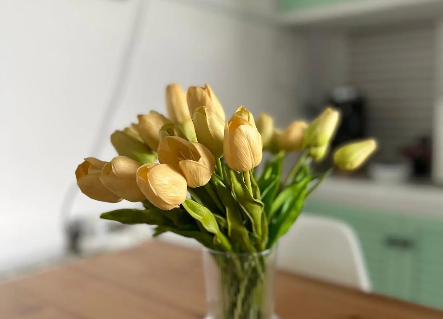Your Holidays Apartment Platja d'Aro